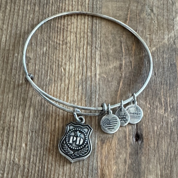 Alex and Ani Silver Badge Charm Bracelet - Picture 1 of 3